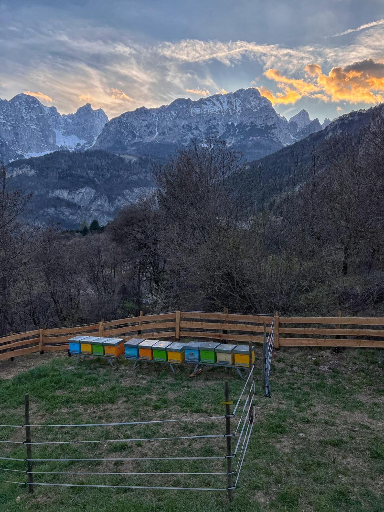 Agriturismo Ai Castioni Molveno Bagian luar foto