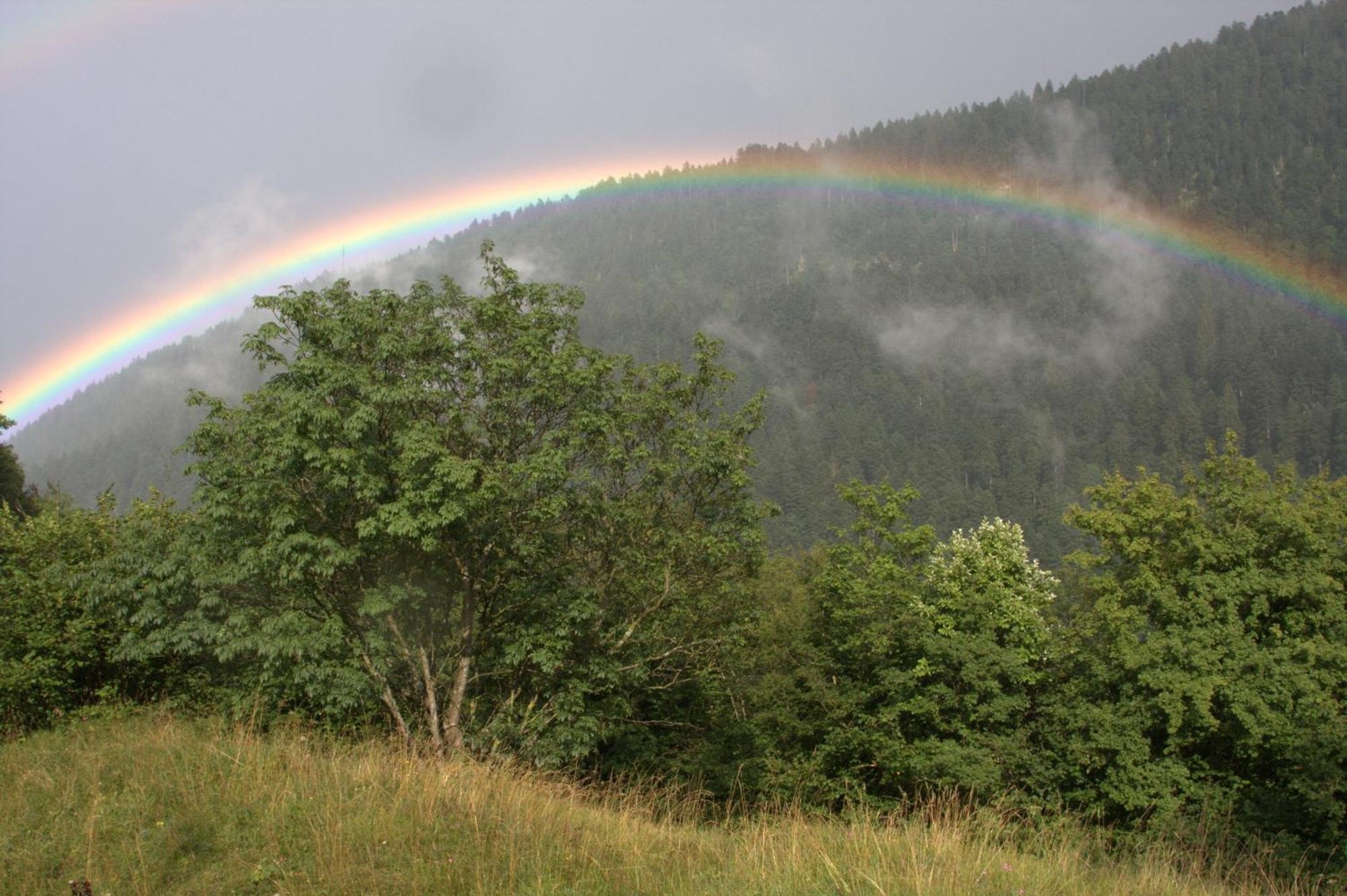 Agriturismo Ai Castioni Molveno Bagian luar foto