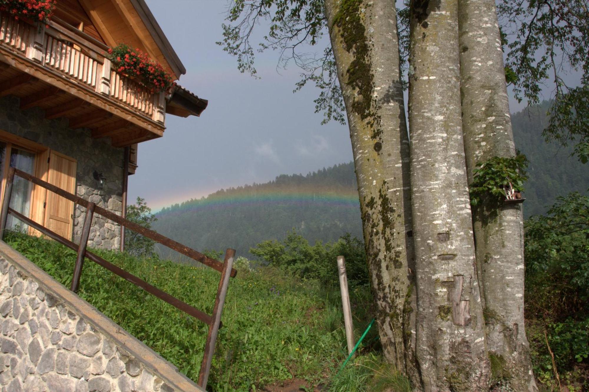Agriturismo Ai Castioni Molveno Bagian luar foto
